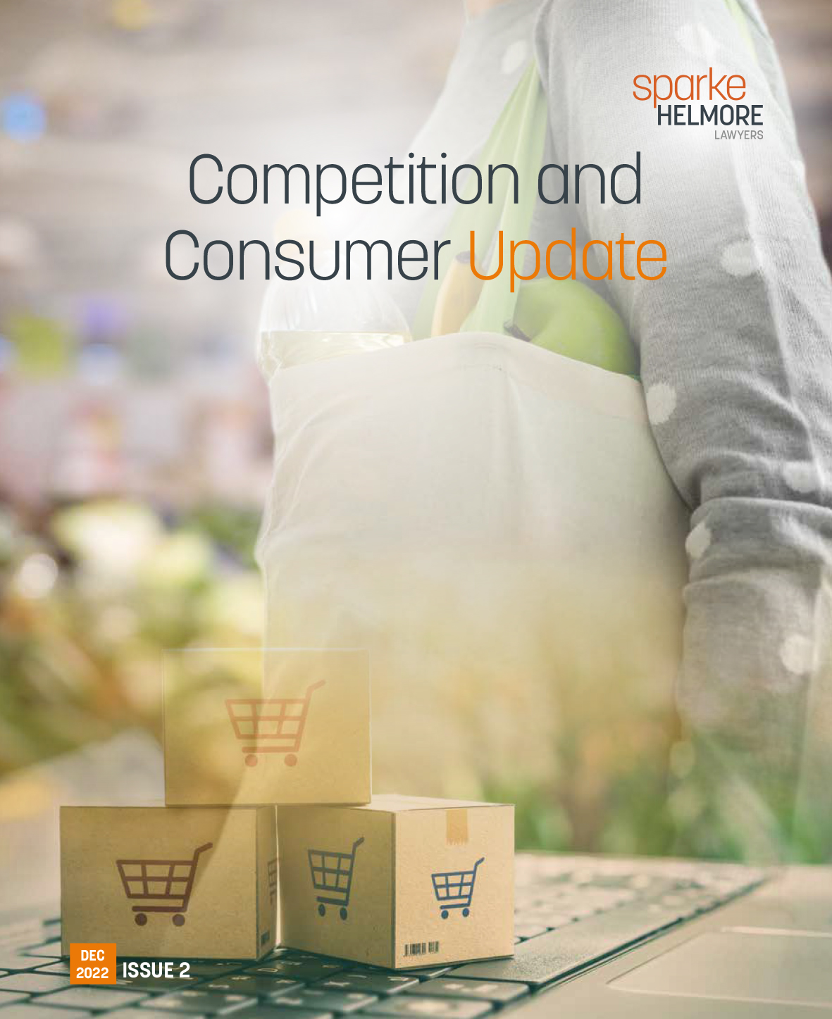 Consumer Update 2022 - brochure link
