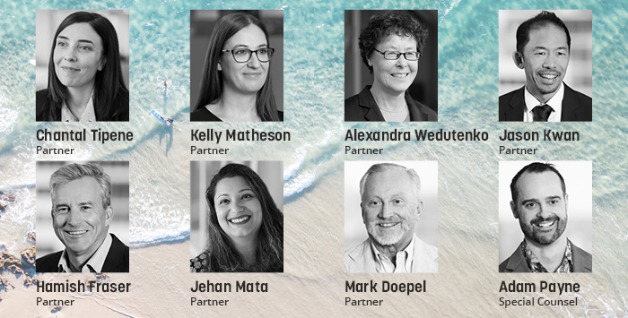 Cyber and privacy team