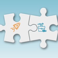 Director Information Series