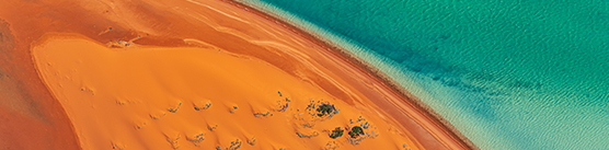 Expertise - Firm-wide services - Coast