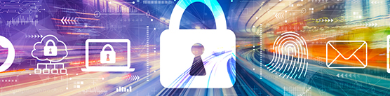 Firm-wide searvices - Cyber and Privacy - banner 2