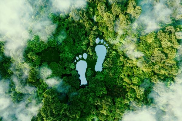All.Environmental Social and Governance.Environmental.ESG - Environmental - Civil and regulator prosecutions All.Environmental Social and Governance.Environmental.ESG - Environmental - Civil and regulator prosecutions