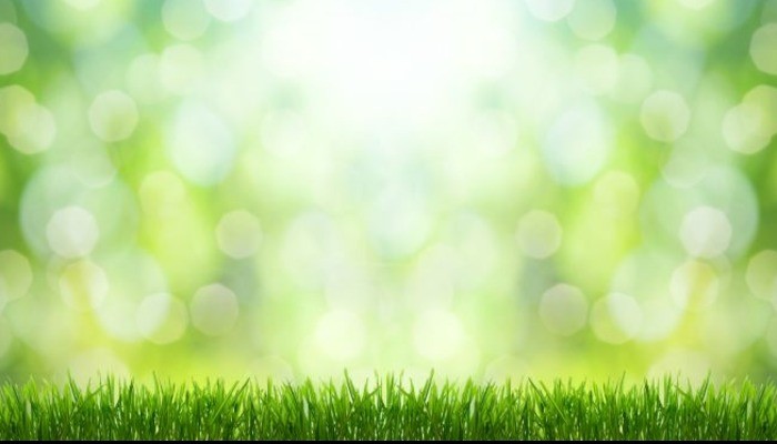 All.Property Environment and Finance