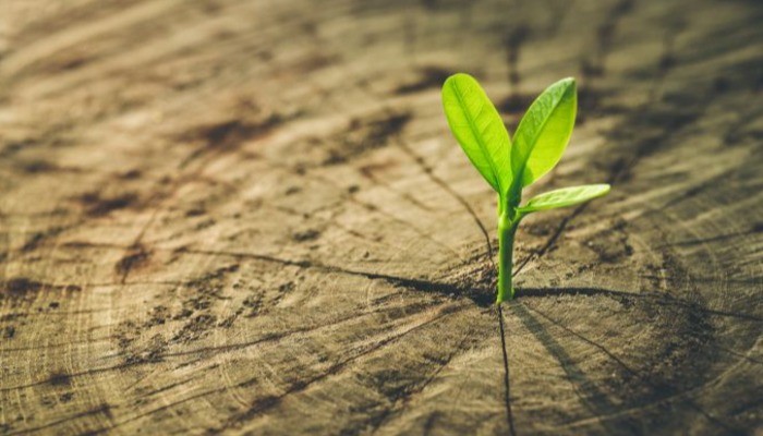 All.Environmental Social and Governance.Environmental.ESG - Environmental - Renewable energy All.Environmental Social and Governance.Environmental.ESG - Environmental - Renewable energy