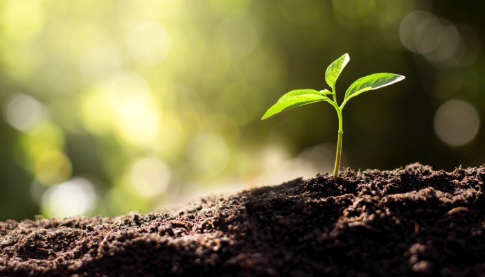 All.Environmental Social and Governance.Environmental.ESG - Environmental - Renewable energy All.Environmental Social and Governance.Environmental.ESG - Environmental - Renewable energy