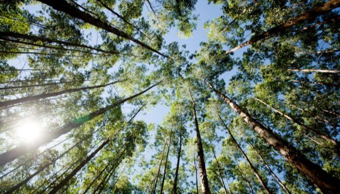 All.Environmental Social and Governance.Environmental.ESG - Environmental - Renewable energy All.Environmental Social and Governance.Environmental.ESG - Environmental - Renewable energy