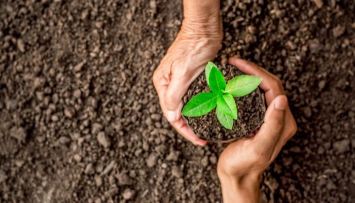 All.Property Environment and Finance.Planning Environment & Local Government