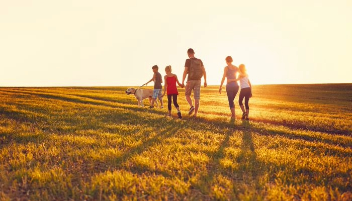 All.Corporate & Commercial.Private clients