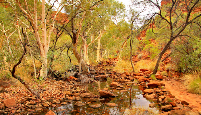 All.Statutory Lines Insurance