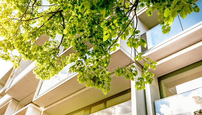All.Property Environment and Finance.Planning Environment & Local Government All.Property Environment and Finance.Planning Environment & Local Government