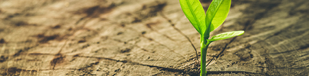 Our Firm - ESG_Environment Our Firm - ESG_Environment