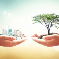 Sydney Environment & Planning