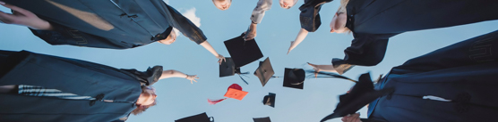 Insights - University governance reform series